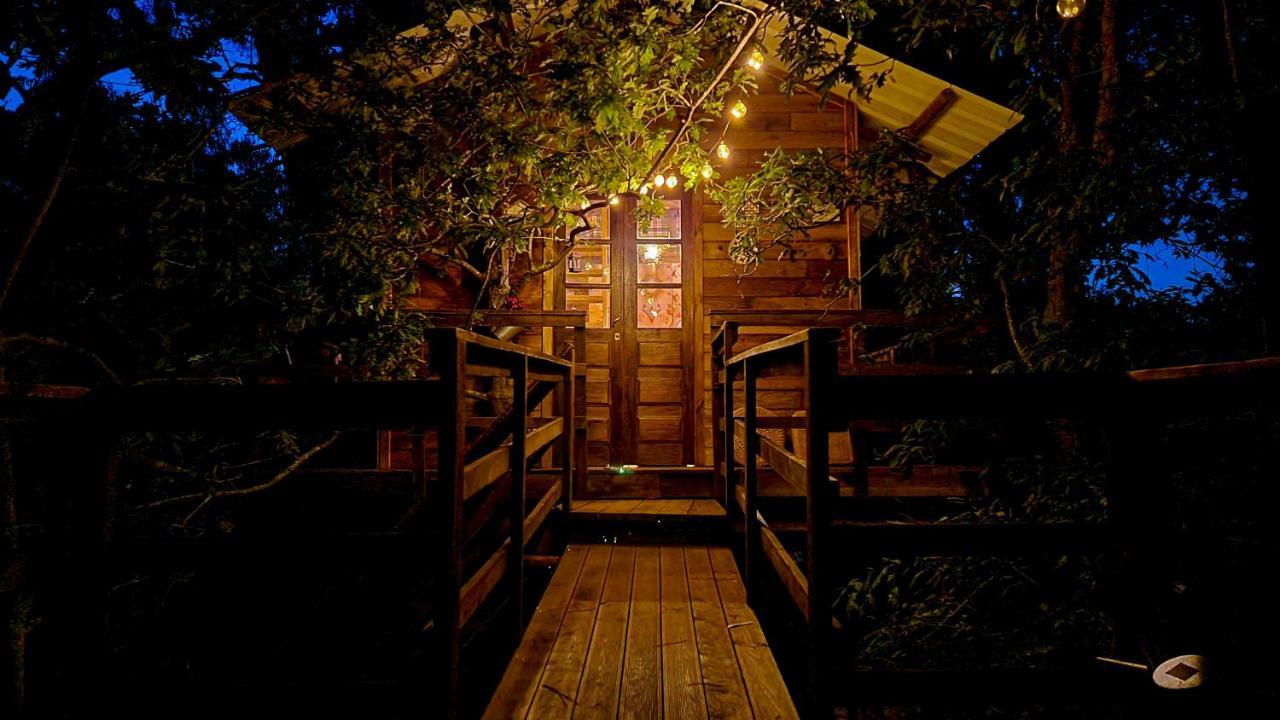 Holiday home Vale Da Silva - Quinta Albergaria-a-Velha
