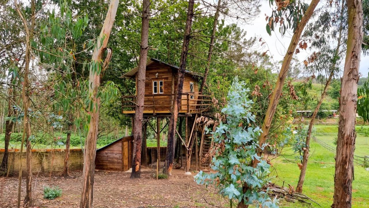 Casa vacanze Vale Da Silva - Quinta *