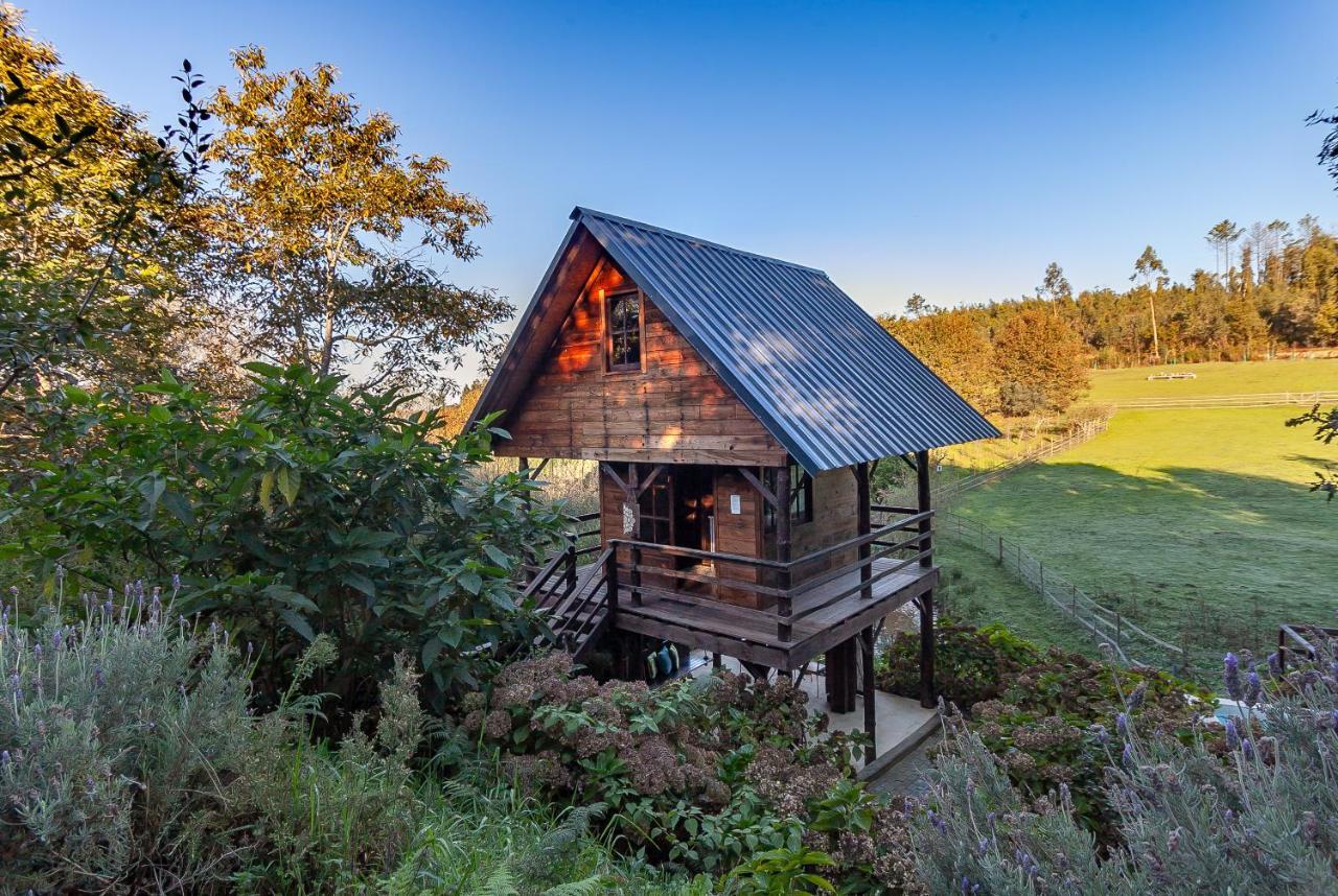 Vale Da Silva - Quinta Holiday home *