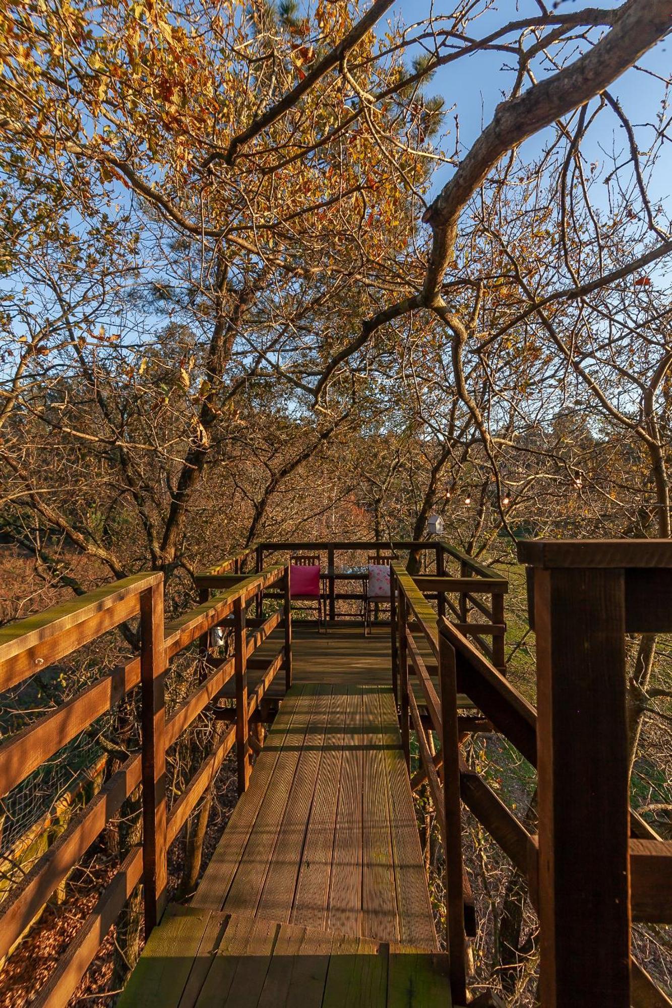Vale Da Silva - Quinta Holiday home Albergaria-a-Velha